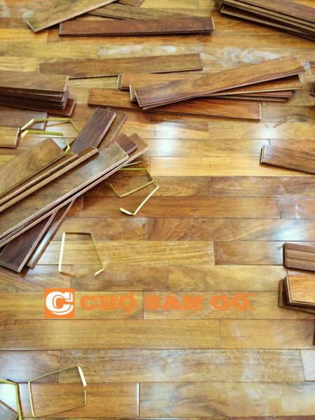 Sàn gỗ Tây Ninh